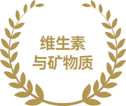 富含多种维生素与矿物质<br>维生素E、维生素C、B族维生素<br>镁、钙、铁、锌、硒等