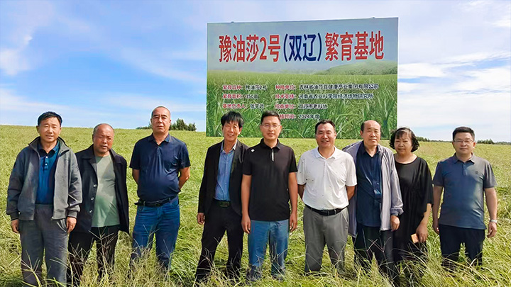 双辽育种扩繁 + 新疆万亩种植 规模与稳定性兼具